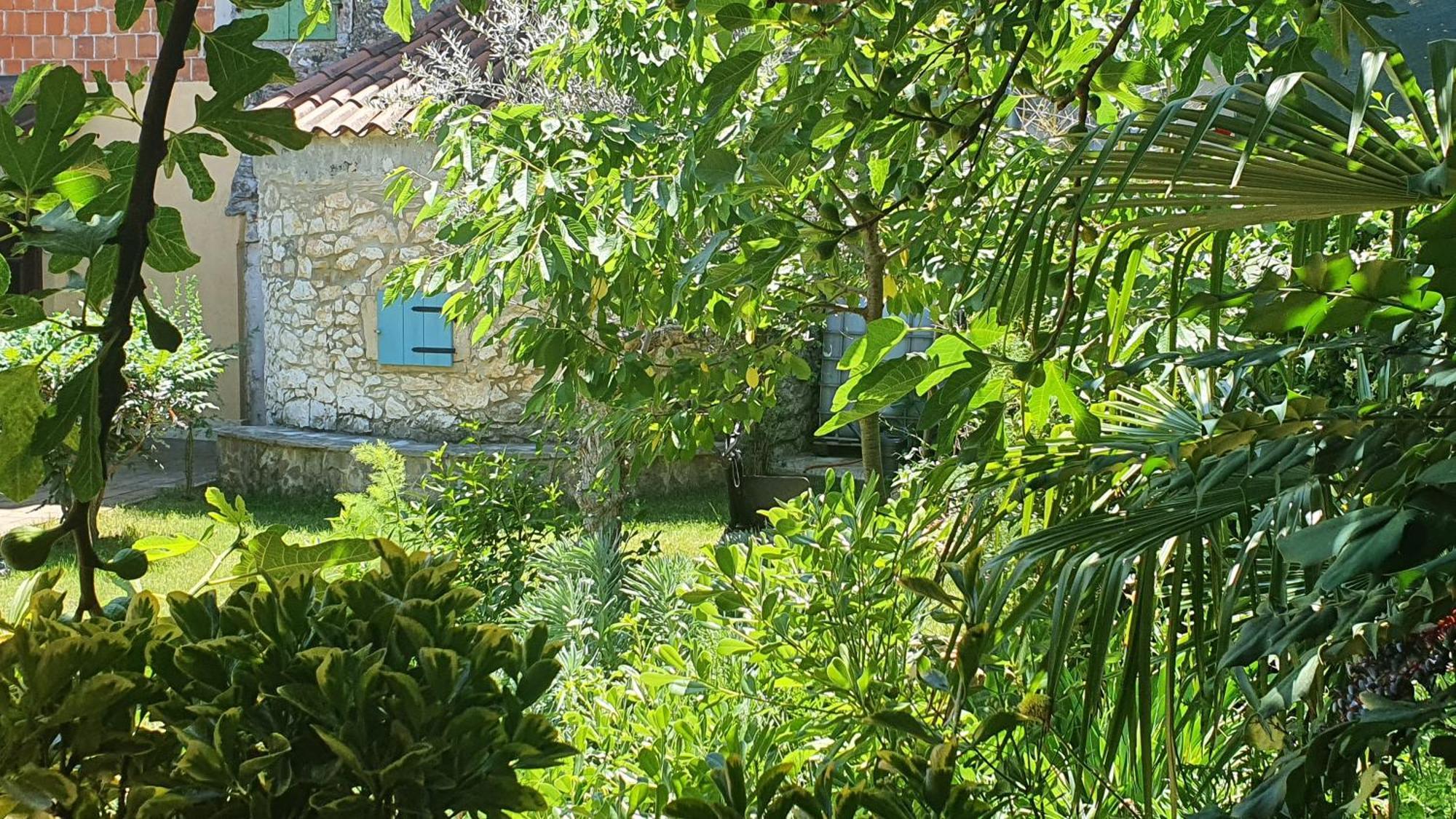 Villa Kazun With Private Pool And Two Gardens Marčana Exterior foto